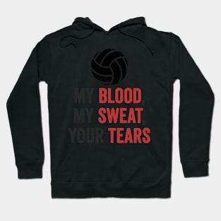 Volleyball Gift My Blood My Sweat Your Tears Hoodie